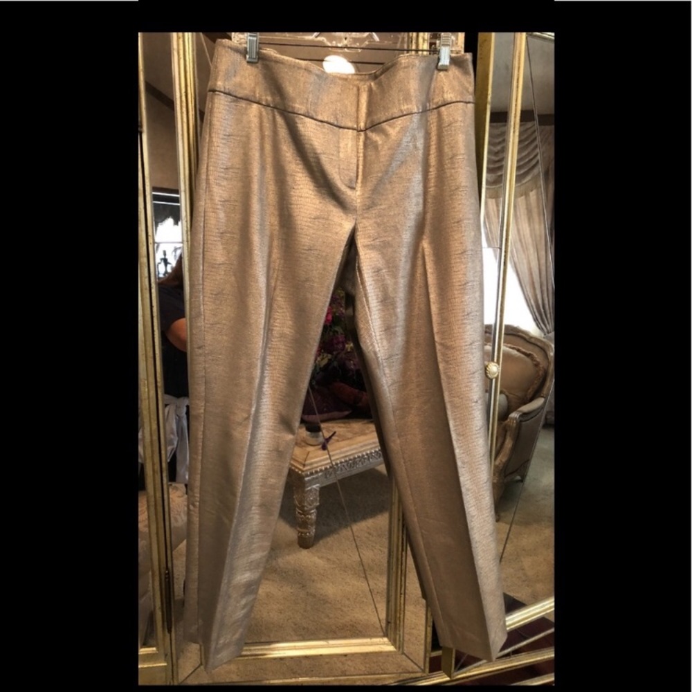 NEW NEVER WORN PLATINUM PANTS 💞